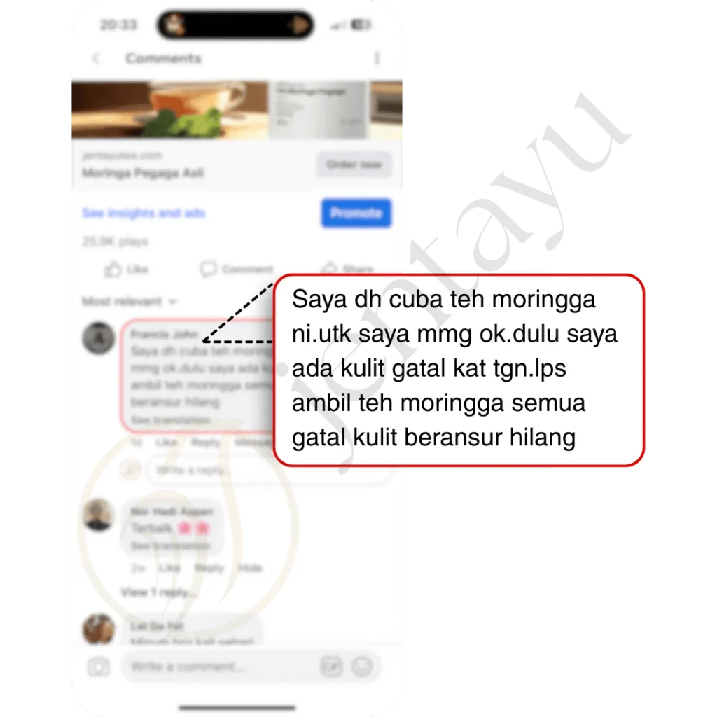Jentayu Teh Moringa Pegaga (10)